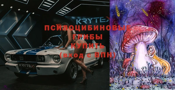 ECSTASY Заводоуковск