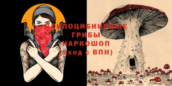 МДМА Заволжск