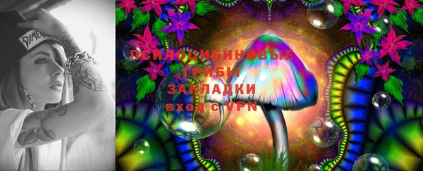 spice Заволжье