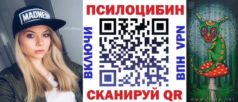 Купить  Чусовой  Псилоцибиновые грибы Psilocybine cubensis 